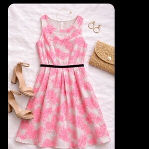 LOFT Neon Pink Dress. 6Petite.